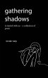 gathering shadows - Bild 1