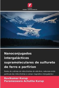 Nanoconjugados intergalácticos supramoleculares de sulfureto de ferro e porfírion - Kurup, Ravikumar;Achutha Kurup, Parameswara