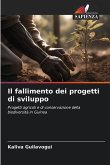 Il fallimento dei progetti di sviluppo