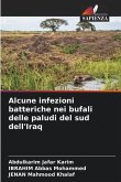 Alcune infezioni batteriche nei bufali delle paludi del sud dell'Iraq