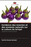 Incidence des insectes et des ennemis naturels sur la culture du brinjal