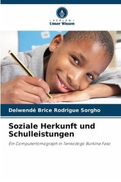 Soziale Herkunft und Schulleistungen - Sorgho, Delwendé Brice Rodrigue