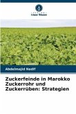 Zuckerfeinde in Marokko Zuckerrohr und Zuckerrüben: Strategien