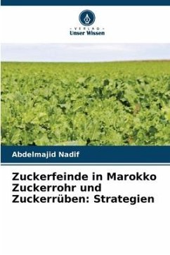 Zuckerfeinde in Marokko Zuckerrohr und Zuckerrüben: Strategien - Nadif, Abdelmajid