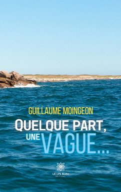 Quelque part, une vague... - Guillaume Moingeon