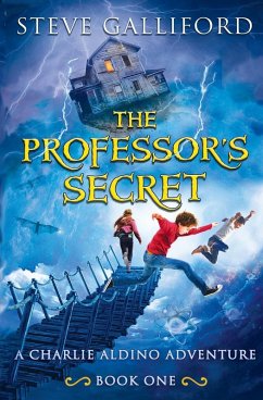 The Professor's Secret - Galliford, Steve