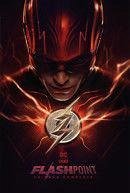 Flashpoint - La saga completa