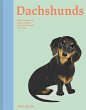 Dachshunds - Bild 1