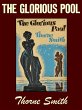 The Glorious Pool (eBook, ePUB) - Bild 1