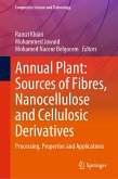 Annual Plant: Sources of Fibres, Nanocellulose and Cellulosic Derivatives (eBook, PDF)