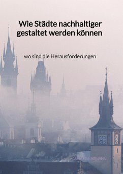 Wie Städte nachhaltiger gestaltet werden können - wo sind die Herausforderungen - Hannemann, Anna