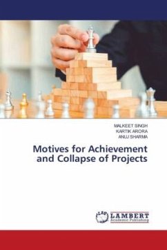 Motives for Achievement and Collapse of Projects
