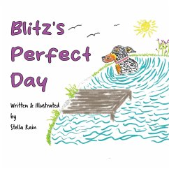 Blitz's Perfect Day - Rain, Stella