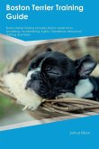 Boston Terrier Training Guide Boston Terrier Training Includes