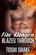 Fire Dragon Blazes Through (Elements of... - Bild 1