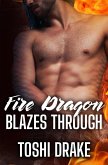 Fire Dragon Blazes Through (Elements of Dragons, #2) (eBook, ePUB)