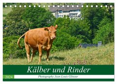 Kälber und Rinder (Tischkalender 2024 DIN A5 quer), CALVENDO Monatskalender - Glineur / DeVerviers, Jean-Louis