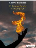 Il fiammiferaio di Budapest (eBook, ePUB)