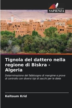 Tignola del dattero nella regione di Biskra - Algeria - Krid, Keltoum