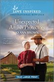 Unexpected Amish Protectors