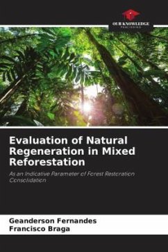 Cover Evaluation of Natural Regeneration in Mixed Reforestation