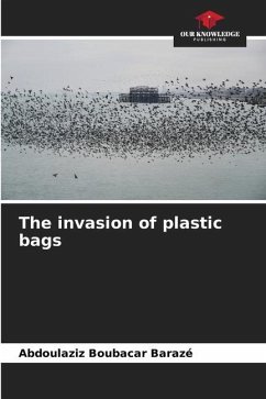 The invasion of plastic bags - Boubacar Barazé, Abdoulaziz