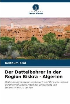 Der Dattelbohrer in der Region Biskra - Algerien - Krid, Keltoum