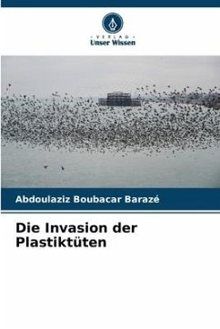 Die Invasion der Plastiktüten - Boubacar Barazé, Abdoulaziz