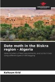 Date moth in the Biskra region - Algeria