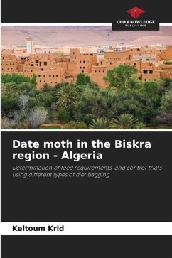 Date moth in the Biskra region - Algeria - Krid, Keltoum
