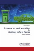A review on soot formation in biodiesel coflow flames