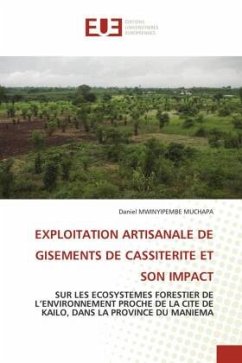 EXPLOITATION ARTISANALE DE GISEMENTS DE CASSITERITE ET SON IMPACT - MWINYIPEMBE MUCHAPA, Daniel