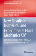 New Results in Numerical and... - Bild 1