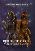 Return To Origin (eBook, ePUB)