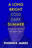 A Long Bright Cold Dark Summer (eBook, ePUB)