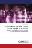 Classification of Skin Lesion using Image Processing