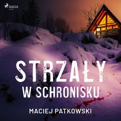 Strzały w schronisku (MP3-Download) - Patkowski, Maciej