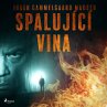 Spalující vina (MP3-Download) - Bild 1