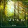 Slökun - Í skóginum (MP3-Download) - Bild 1