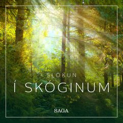 Cover Slökun - Í skóginum (MP3-Download)