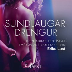 Sundlaugardrengur og 9 aðrar erótískar smásögur í samstarfi við Eriku Lust (MP3-Download) - Nights, One Thousand and One