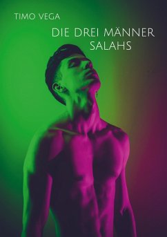 Die Drei Männer Salahs (eBook, ePUB) - Vega, Timo