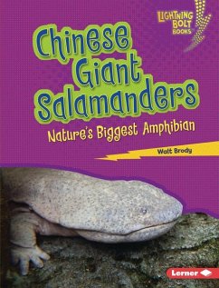 Chinese Giant Salamanders - Brody, Walt
