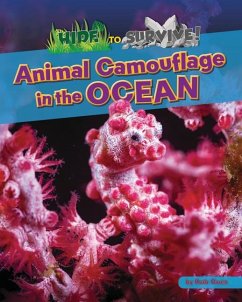 Animal Camouflage in the Ocean - Owen, Ruth