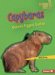 Capybaras - Bild 1