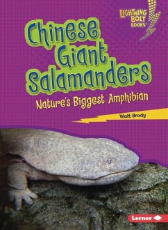 Chinese Giant Salamanders - Brody, Walt