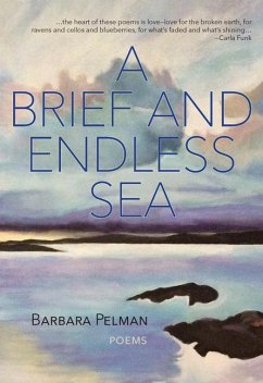 A Brief and Endless Sea - Pelman, Barbara