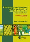 Non-Governmental Organizations and the Sustainability of Small and Medium-Sized Enterprises in Peru: An Analysis of Networks and Discourses