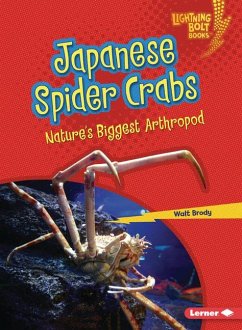 Japanese Spider Crabs - Brody, Walt