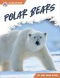 Polar Bears - Bild 1